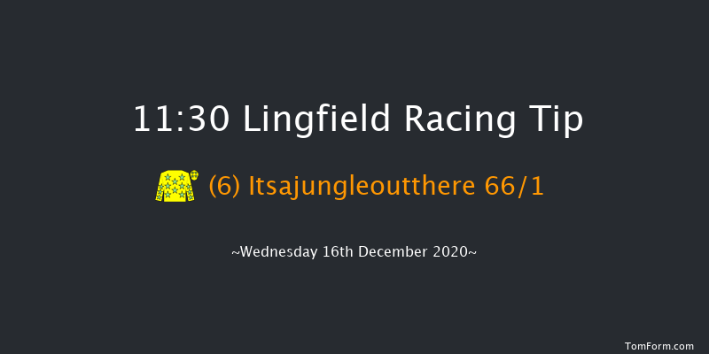 Bombardier 'March To Your Own Drum' Handicap Lingfield 11:30 Handicap (Class 6) 8f Sun 13th Dec 2020