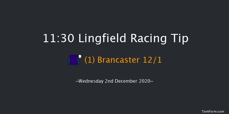 Betway Welcome Back Racegoers Handicap Lingfield 11:30 Handicap (Class 6) 12f Tue 1st Dec 2020