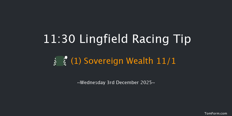 Lingfield 11:30 (Class 5) 7f Tue 2nd Dec 2025