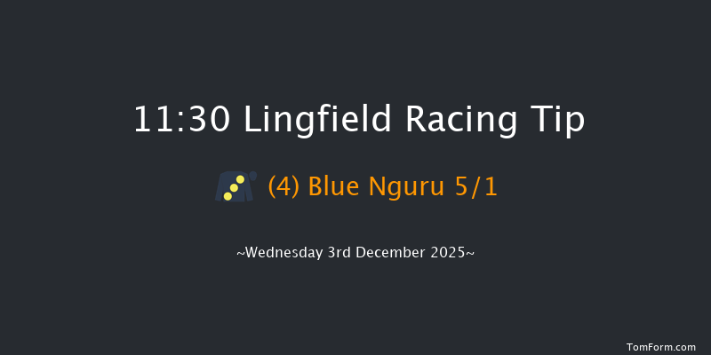Lingfield 11:30 (Class 5) 7f Tue 2nd Dec 2025