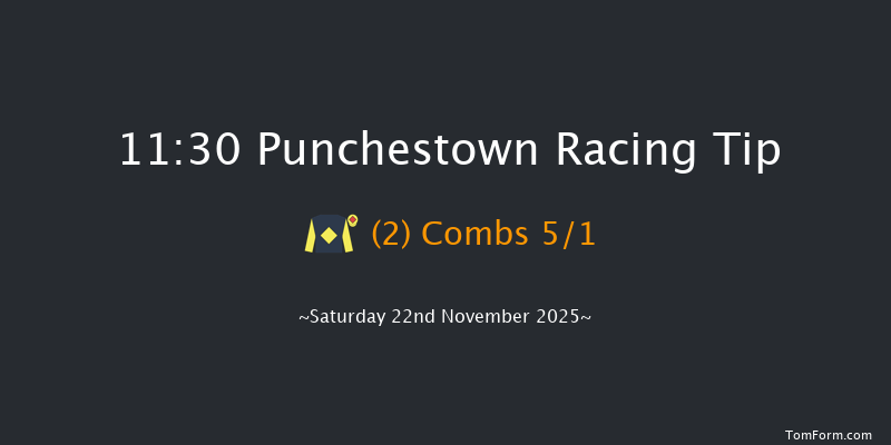 Punchestown 11:30 16f Thu 13th Nov 2025