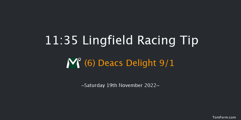 Lingfield 11:35 Handicap (Class 6) 7f Tue 15th Nov 2022