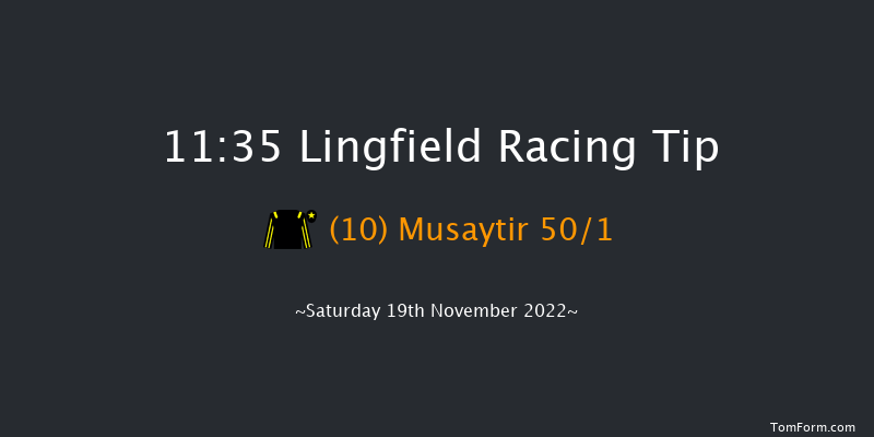 Lingfield 11:35 Handicap (Class 6) 7f Tue 15th Nov 2022