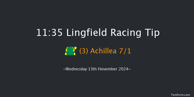 Lingfield  11:35 Handicap (Class 5) 10f Tue 12th Nov 2024