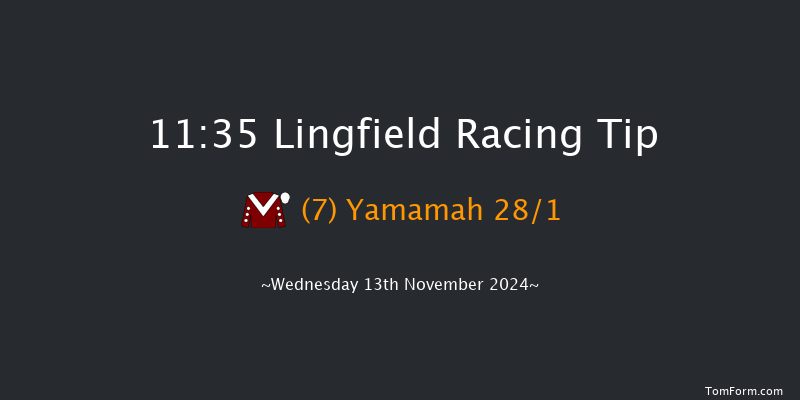 Lingfield  11:35 Handicap (Class 5) 10f Tue 12th Nov 2024