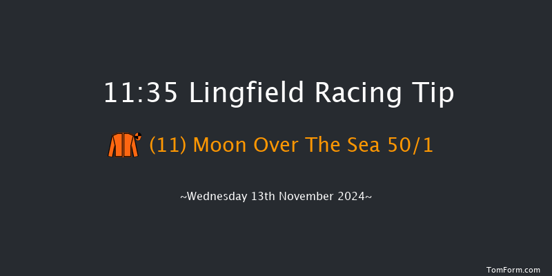 Lingfield  11:35 Handicap (Class 5) 10f Tue 12th Nov 2024