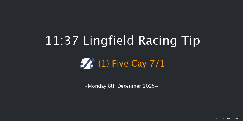 Lingfield 11:37 (Class 5) 7f Wed 3rd Dec 2025