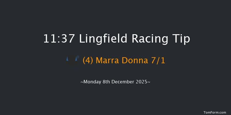Lingfield 11:37 (Class 5) 7f Wed 3rd Dec 2025