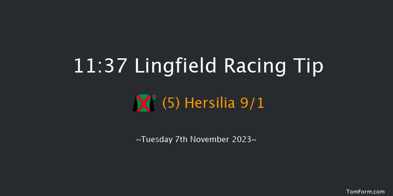 Lingfield 11:37 Handicap (Class 6) 7f Sun 5th Nov 2023