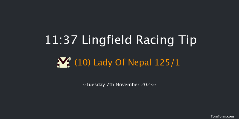 Lingfield 11:37 Handicap (Class 6) 7f Sun 5th Nov 2023