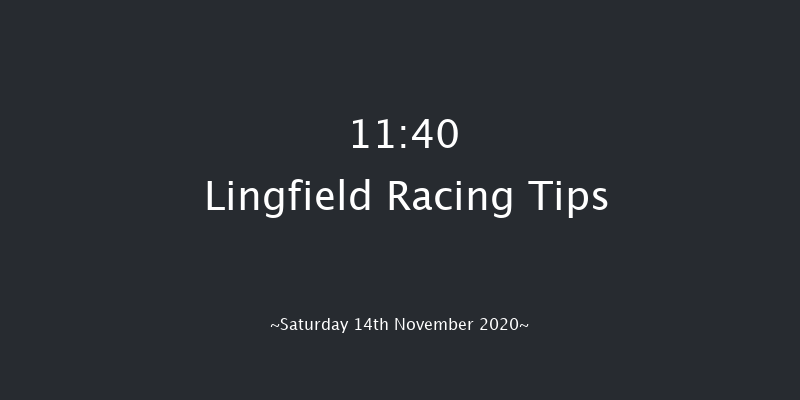 Bombardier 'March To Your Own Drum' Handicap (Div 1) Lingfield 11:40 Handicap (Class 6) 8f Tue 10th Nov 2020
