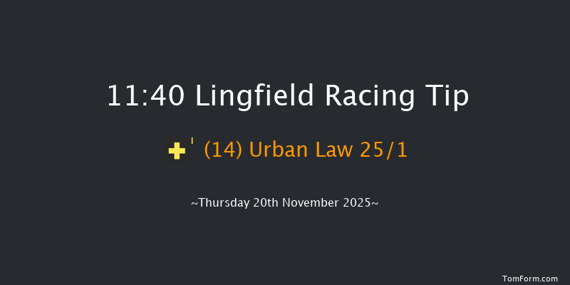 Lingfield 11:40 (Class 5) 7f Tue 18th Nov 2025