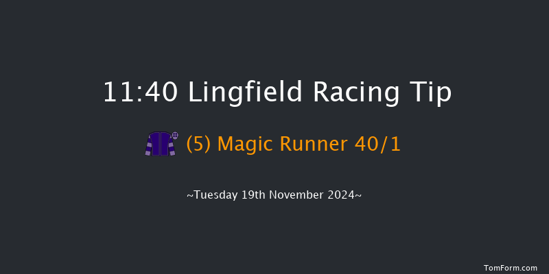 Lingfield  11:40 Stakes (Class 5) 8f  Wed 13th Nov 2024