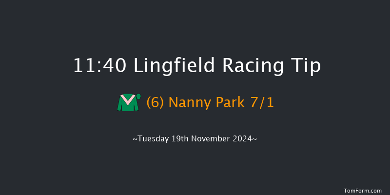 Lingfield  11:40 Stakes (Class 5) 8f  Wed 13th Nov 2024