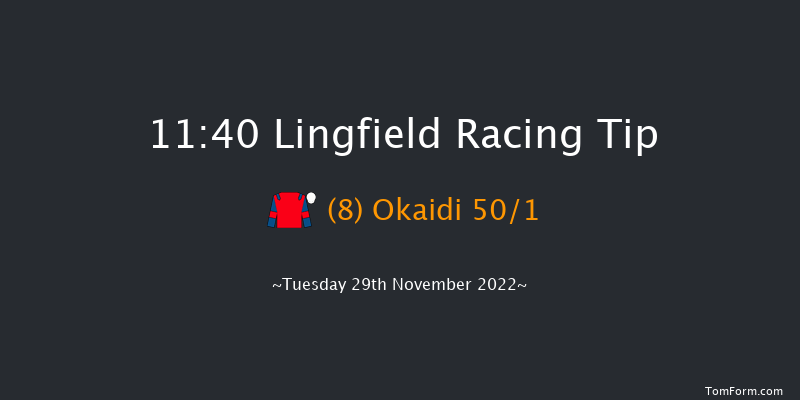 Lingfield 11:40 Handicap (Class 6) 8f Thu 24th Nov 2022