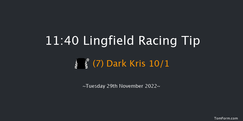Lingfield 11:40 Handicap (Class 6) 8f Thu 24th Nov 2022