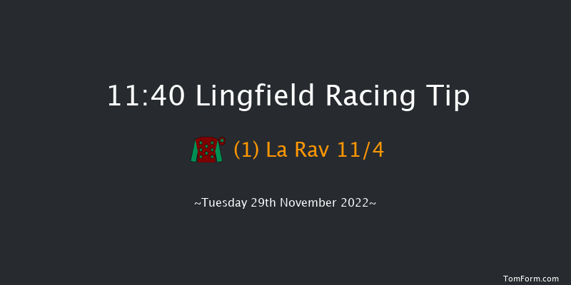 Lingfield 11:40 Handicap (Class 6) 8f Thu 24th Nov 2022