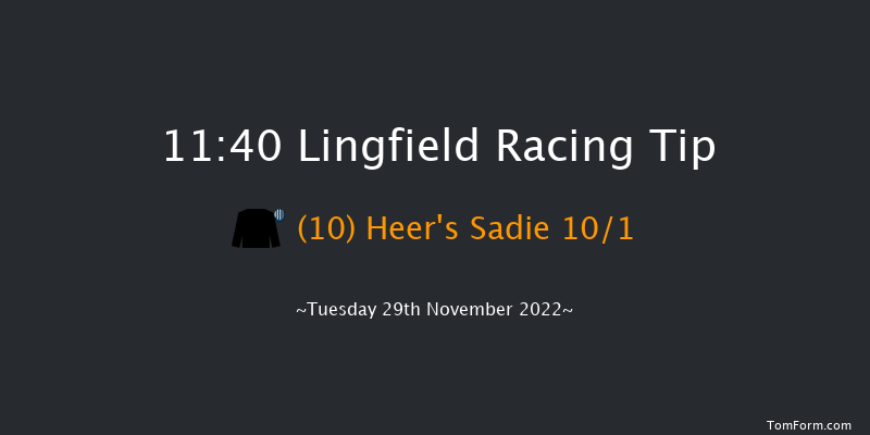 Lingfield 11:40 Handicap (Class 6) 8f Thu 24th Nov 2022