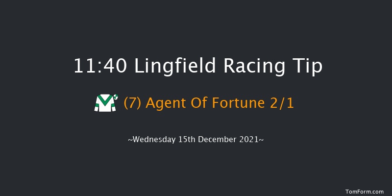 Lingfield 11:40 Handicap (Class 6) 8f Wed 8th Dec 2021