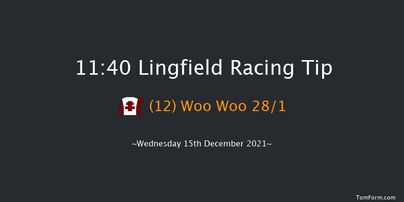 Lingfield 11:40 Handicap (Class 6) 8f Wed 8th Dec 2021