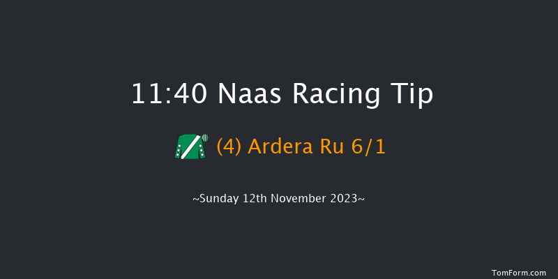 Naas 11:40 Handicap Chase 20f Sun 15th Oct 2023