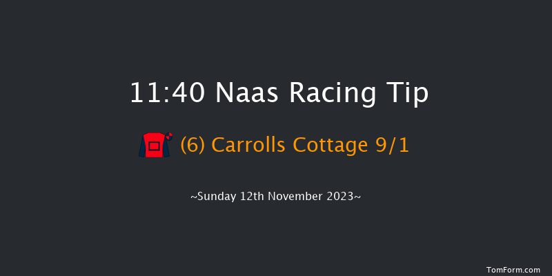Naas 11:40 Handicap Chase 20f Sun 15th Oct 2023