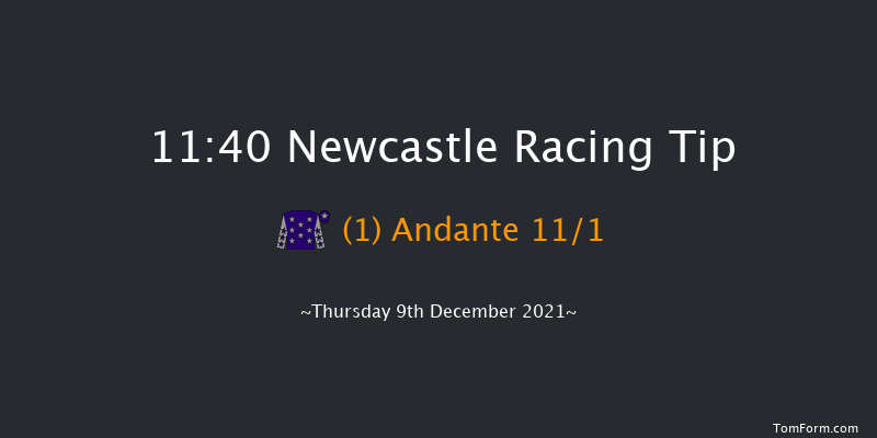 Newcastle 11:40 Maiden Hurdle (Class 4) 16f Fri 3rd Dec 2021