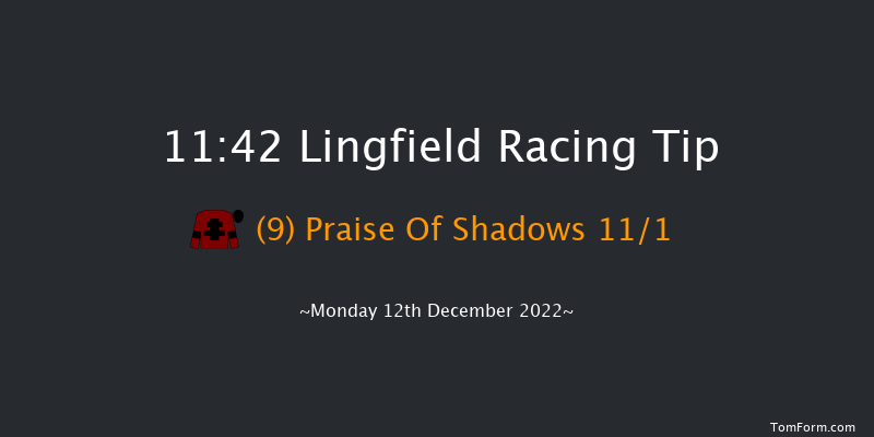 Lingfield 11:42 Handicap (Class 6) 7f Wed 7th Dec 2022
