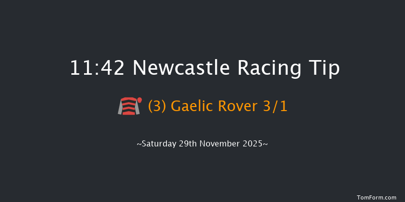 Newcastle 11:42 (Class 2) 16f Thu 27th Nov 2025