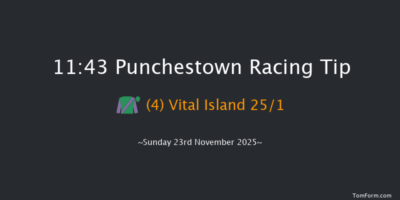 Punchestown 11:43 24f Sat 22nd Nov 2025