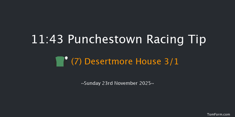 Punchestown 11:43 24f Sat 22nd Nov 2025