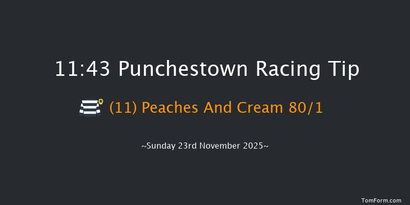 Punchestown 11:43 24f Sat 22nd Nov 2025