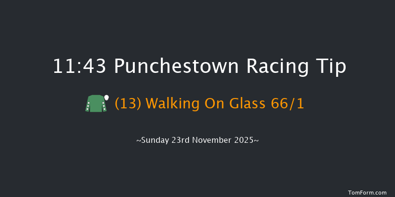 Punchestown 11:43 24f Sat 22nd Nov 2025