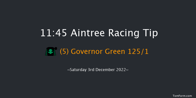 Aintree 11:45 Novices Hurdle (Class 3) 17f Sat 5th Nov 2022