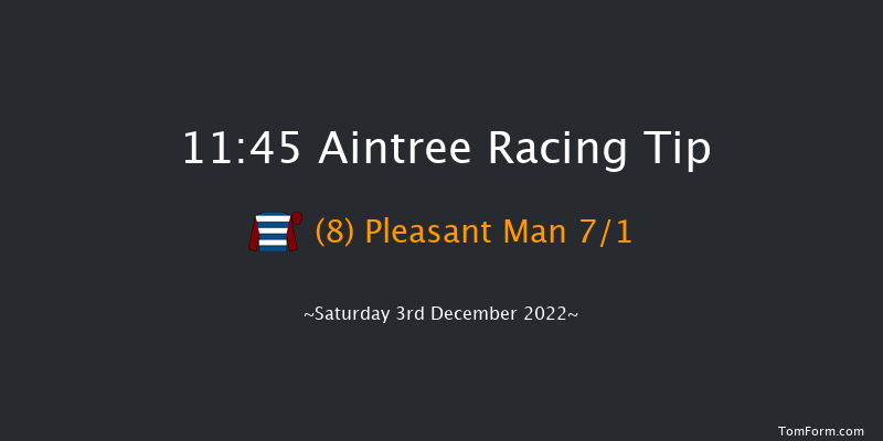 Aintree 11:45 Novices Hurdle (Class 3) 17f Sat 5th Nov 2022