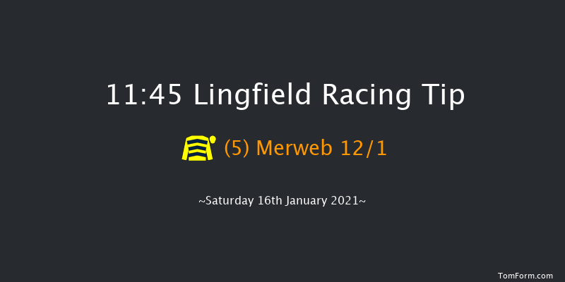 Heed Your Hunch At Betway Handicap Lingfield 11:45 Handicap (Class 6) 10f Tue 12th Jan 2021