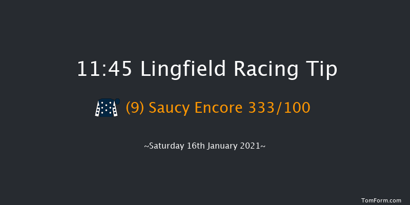 Heed Your Hunch At Betway Handicap Lingfield 11:45 Handicap (Class 6) 10f Tue 12th Jan 2021