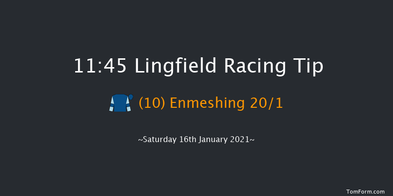Heed Your Hunch At Betway Handicap Lingfield 11:45 Handicap (Class 6) 10f Tue 12th Jan 2021
