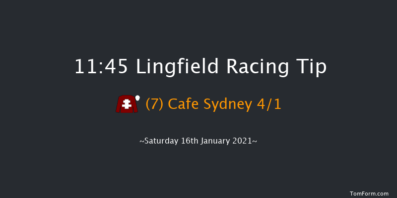 Heed Your Hunch At Betway Handicap Lingfield 11:45 Handicap (Class 6) 10f Tue 12th Jan 2021