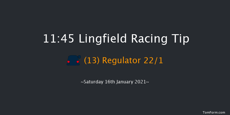Heed Your Hunch At Betway Handicap Lingfield 11:45 Handicap (Class 6) 10f Tue 12th Jan 2021
