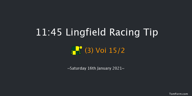 Heed Your Hunch At Betway Handicap Lingfield 11:45 Handicap (Class 6) 10f Tue 12th Jan 2021