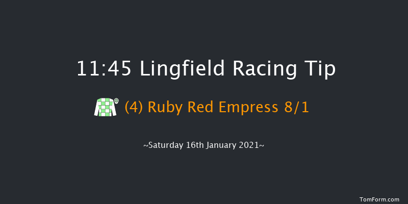 Heed Your Hunch At Betway Handicap Lingfield 11:45 Handicap (Class 6) 10f Tue 12th Jan 2021