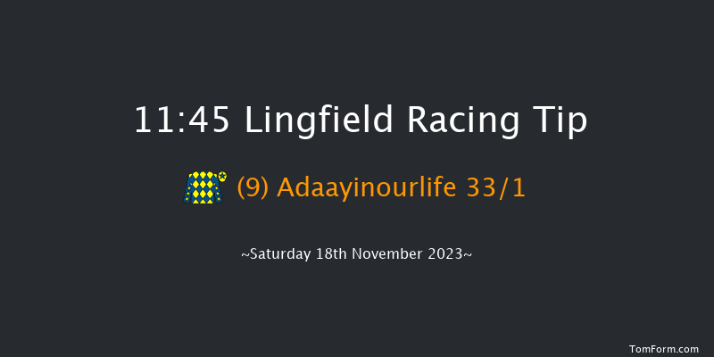 Lingfield 11:45 Handicap (Class 6) 8f Tue 14th Nov 2023