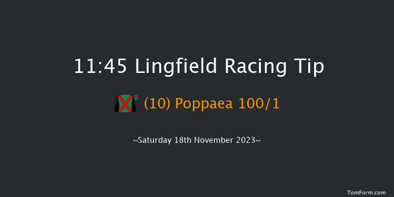 Lingfield 11:45 Handicap (Class 6) 8f Tue 14th Nov 2023