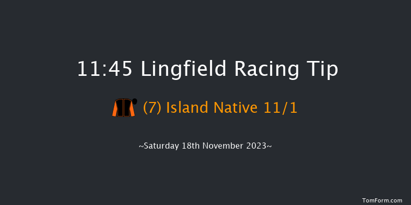Lingfield 11:45 Handicap (Class 6) 8f Tue 14th Nov 2023