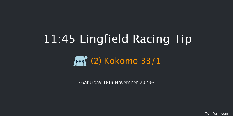 Lingfield 11:45 Handicap (Class 6) 8f Tue 14th Nov 2023