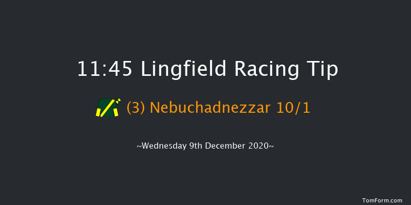 Betway Handicap Lingfield 11:45 Handicap (Class 5) 12f Wed 2nd Dec 2020