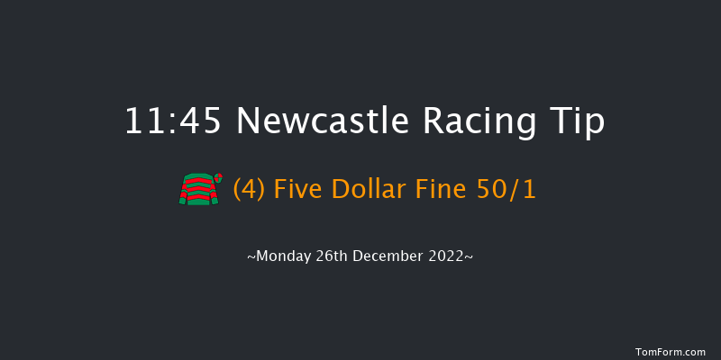 Newcastle 11:45 Maiden Hurdle (Class 4) 20f Tue 20th Dec 2022