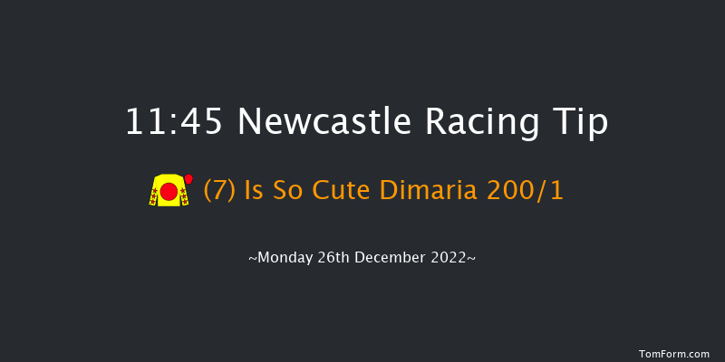 Newcastle 11:45 Maiden Hurdle (Class 4) 20f Tue 20th Dec 2022