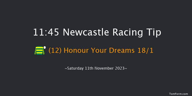Newcastle 11:45 Handicap (Class 4) 7f Fri 10th Nov 2023